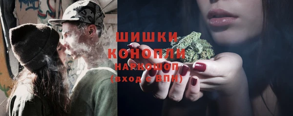 бошки Алзамай