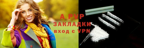 молекула духа Алексеевка