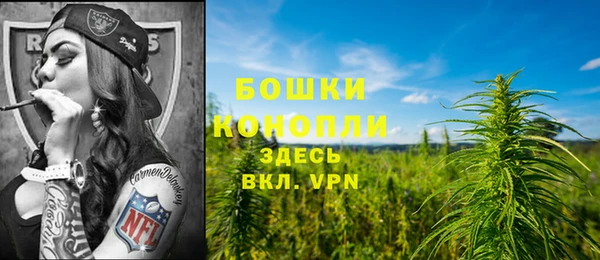 бошки Алзамай
