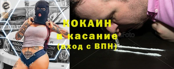 дживик Алексин
