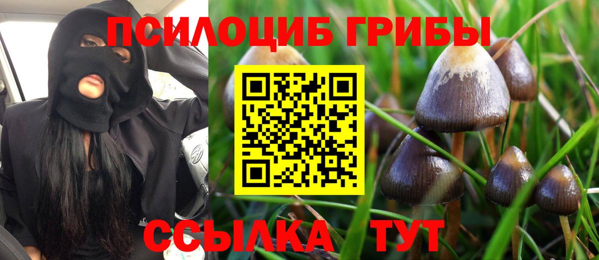 Псилоцибиновые грибы ЛСД Сорочинск