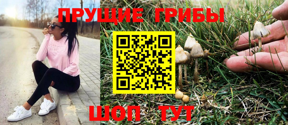 Галлюциногенные грибы Psilocybine cubensis  Галлюциногенные грибы мухоморы  Сорочинск  Вход с VPN 